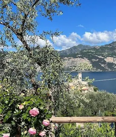 Il Giardinetto *