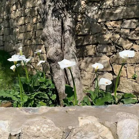 Il Giardinetto Apartment